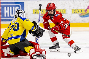 Klik for at se eller bestil foto