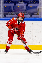 Klik for at se eller bestil foto