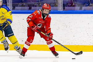 Klik for at se eller bestil foto