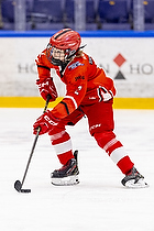 Klik for at se eller bestil foto