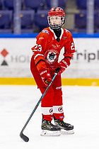 Klik for at se eller bestil foto