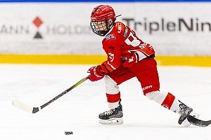 Klik for at se eller bestil foto