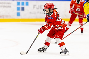 Klik for at se eller bestil foto