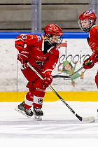 Klik for at se eller bestil foto