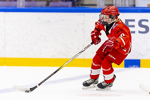 Klik for at se eller bestil foto