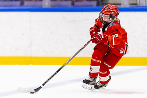 Klik for at se eller bestil foto