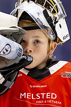 Klik for at se eller bestil foto