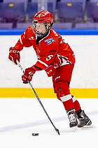 Klik for at se eller bestil foto