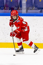 Klik for at se eller bestil foto