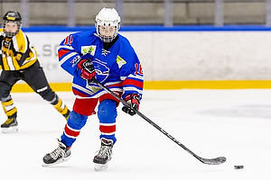 Klik for at se eller bestil foto