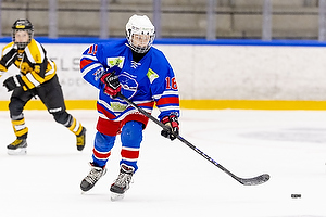 Klik for at se eller bestil foto