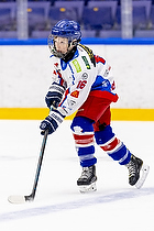 Klik for at se eller bestil foto