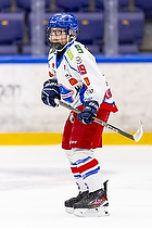 Klik for at se eller bestil foto