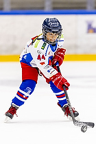 Klik for at se eller bestil foto