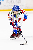 Klik for at se eller bestil foto