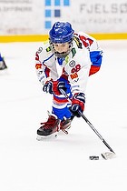 Klik for at se eller bestil foto