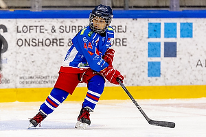 Klik for at se eller bestil foto