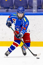 Klik for at se eller bestil foto