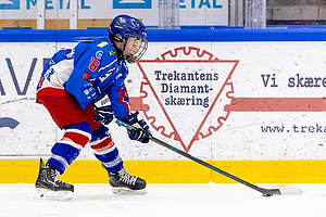 Klik for at se eller bestil foto