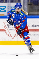 Klik for at se eller bestil foto