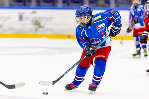 Klik for at se eller bestil foto