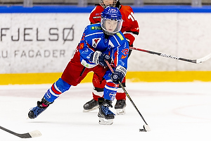 Klik for at se eller bestil foto