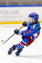 Klik for at se eller bestil foto