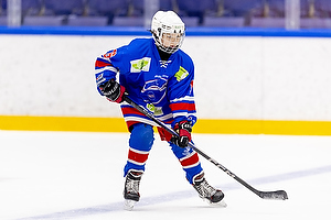 Klik for at se eller bestil foto