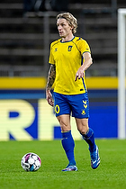 Daniel Wass  (Br�ndby IF)